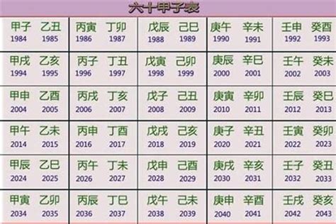 2012年生肖五行|2012年出生的属什么,2012年是什么生肖